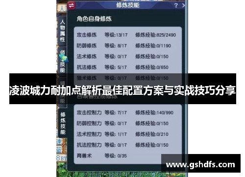 凌波城力耐加点解析最佳配置方案与实战技巧分享 凌波城力耐加点解析最佳配置方案与实战技巧分享