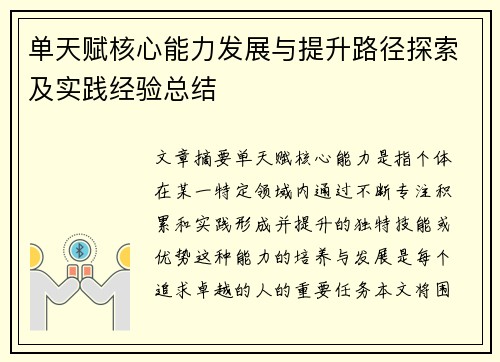 单天赋核心能力发展与提升路径探索及实践经验总结